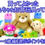 買ってよかったおもちゃ&知育玩具って何?【0歳～1歳編】選ぶポイントを紹介!